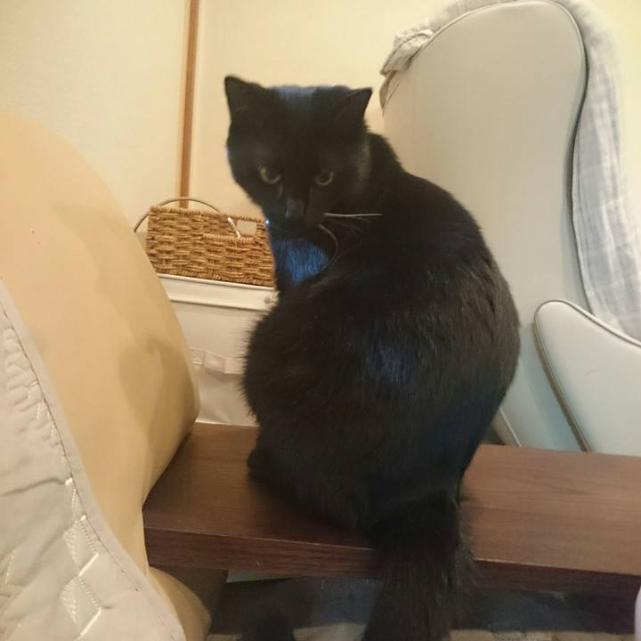 79841001 2a77 4c3e a4de 0792631c18a1 1514698000930