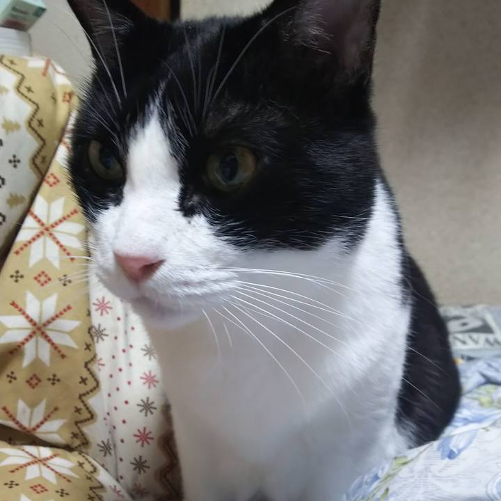 798425cf 4e8d 4407 b0bb 4dc18032973b 1578260946425