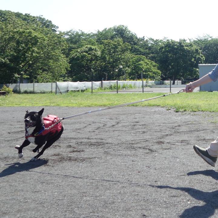 79842909 6b9d 4108 b80b ba43addeb68c 1684199181147