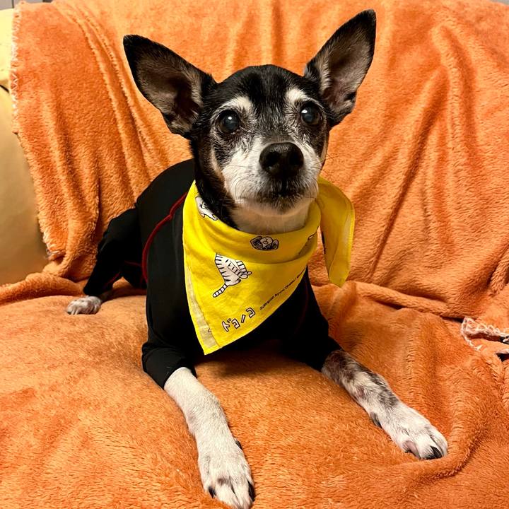 79843fbb aef9 48e4 8e34 7babc14076b6 1647255504556