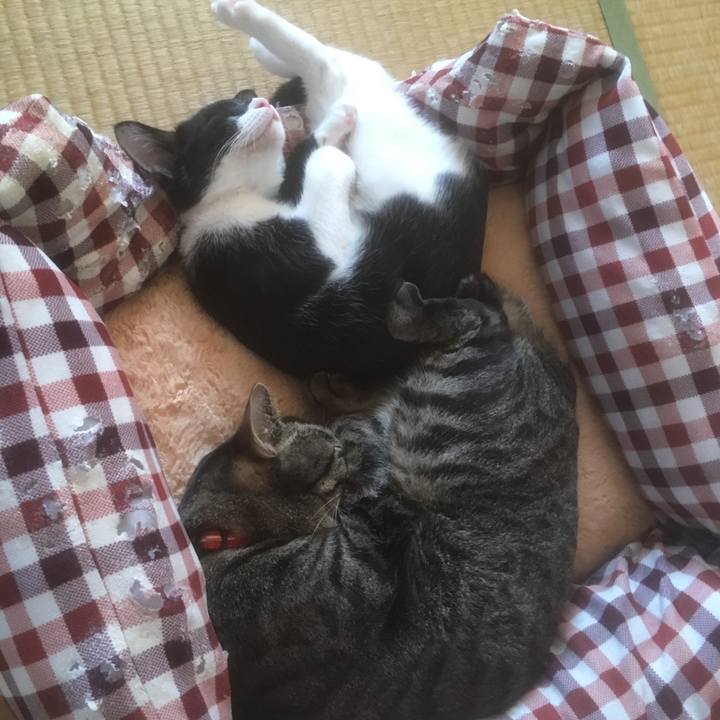 7984443f 286c 4be3 95ce 01d1118b0e81 1509774811594