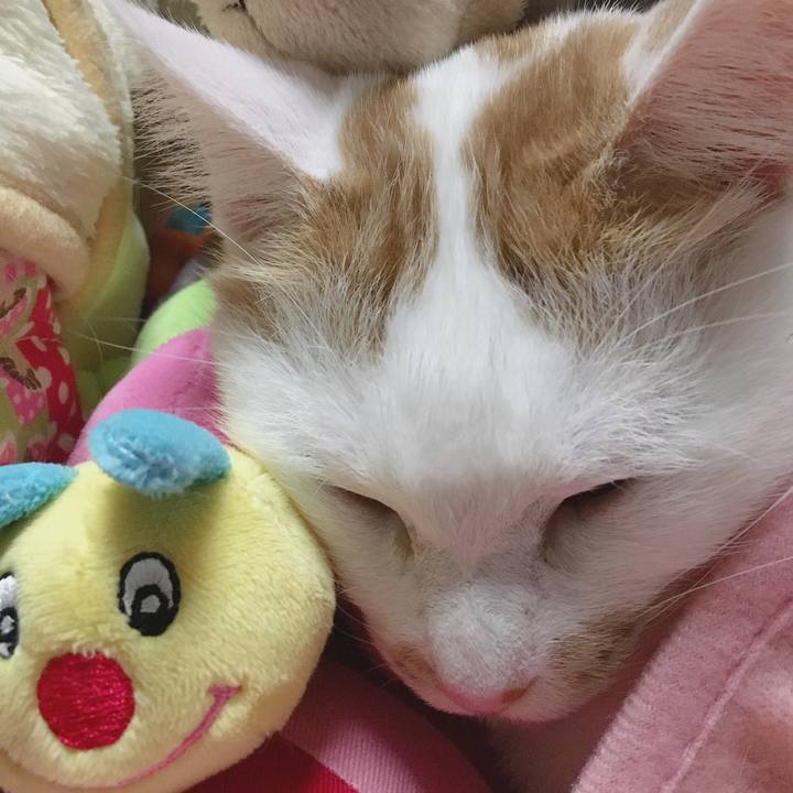 79846940 738d 402b 9f6f 85af722f6953 1576589344088