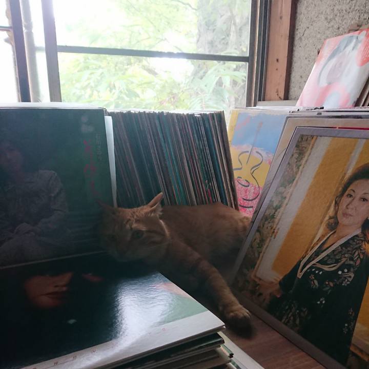 79848156 93fb 43b3 a3d3 bb65350f2a7b 1659331054709