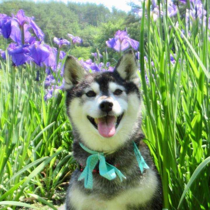 7984a4c4 531d 4003 bc63 0b65e3b6e900 1718339379026