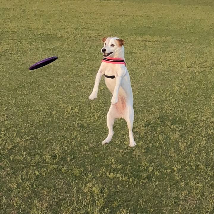 7984b9e6 7b46 452a b948 6b1a31995dbf 1526117130543