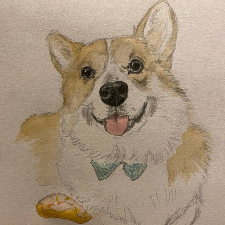 79856ce5 ad56 4689 9ab0 4bef2e540028 1675506515174