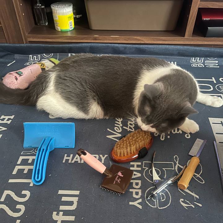 7985b7fd a6e9 4aa5 a981 c96323bd97a5 1720917362586