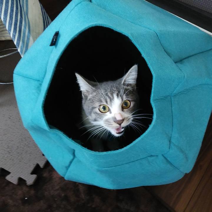 7985e9fd a15b 44b3 b649 337e28822a77 1572823238504