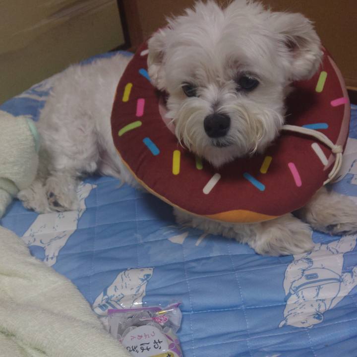 7985eb06 b5d4 41a2 9d26 c0045a55a4e1 1632137978270