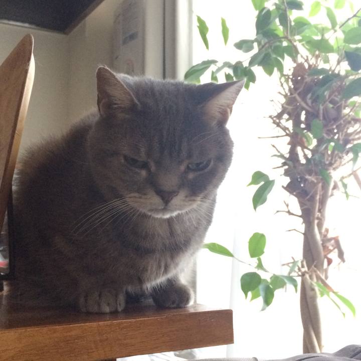 7985fe00 7689 4b4c 8ea1 7e015c634e39 1512171376208