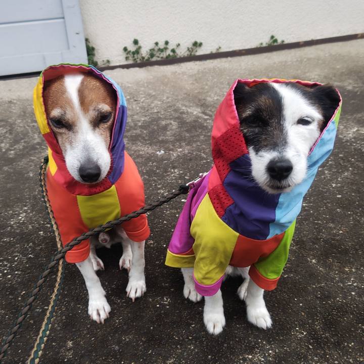 79861212 e083 4ab7 a5cc 608956fccc1a 1773612611758