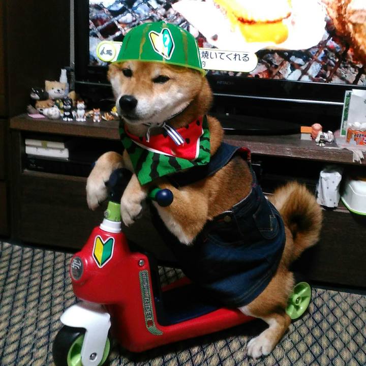 79861448 3eae 4d37 992d 5d4b31697cd0 1526121357932