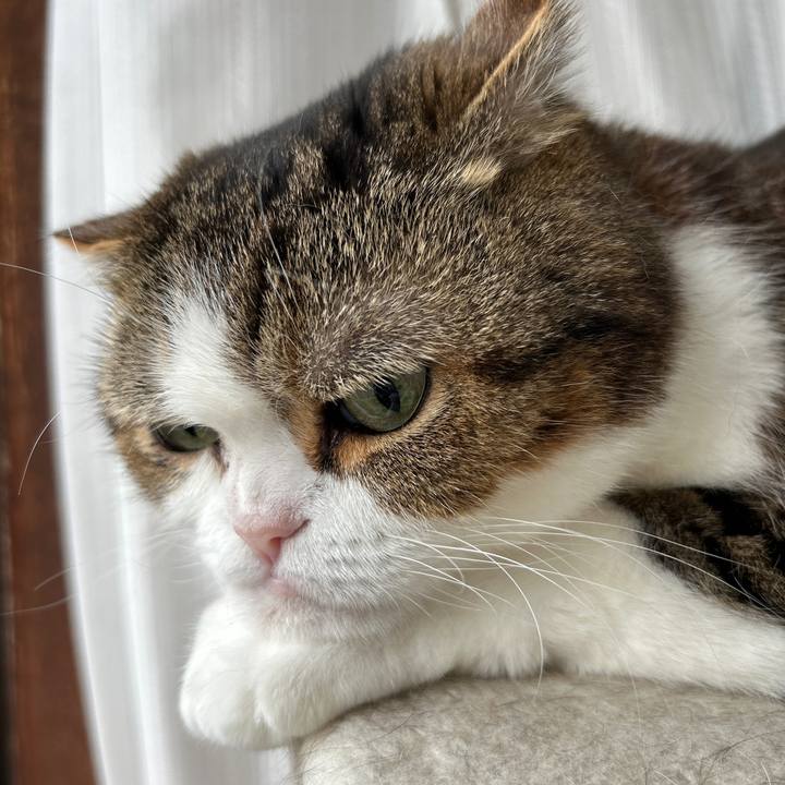 7986328b 72c0 4d0b ab3e 7ef44d042ccb 1718831110648