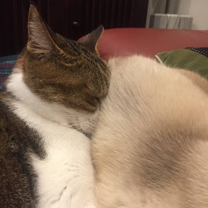 79863725 e287 4d92 b297 ce91a1b2b7d3 1511335192861