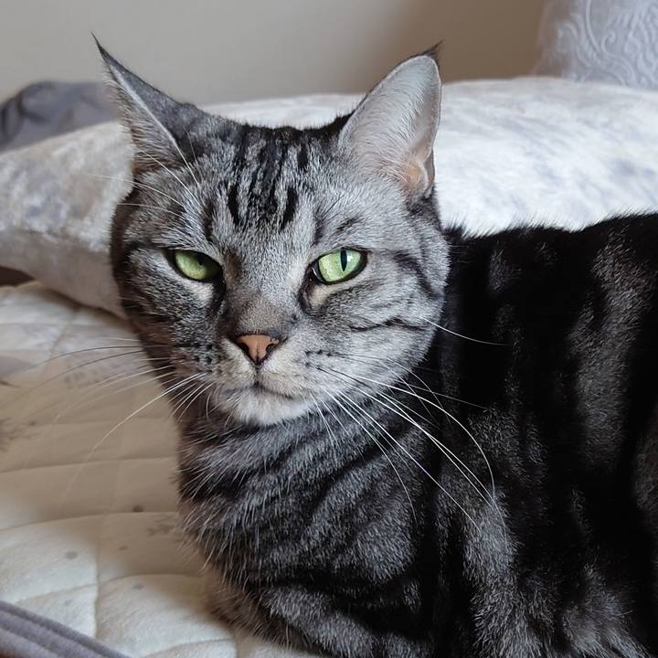 7986496e c87f 4214 9ca1 18de8a66b2f9 1647834690487