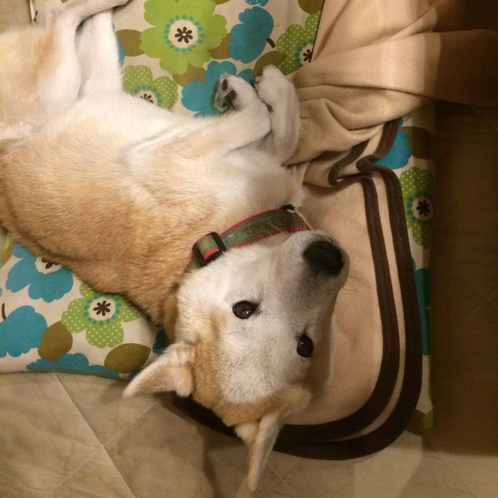 79869680 1f0f 4a79 a34e abdbfa9db4f0 1583678851243