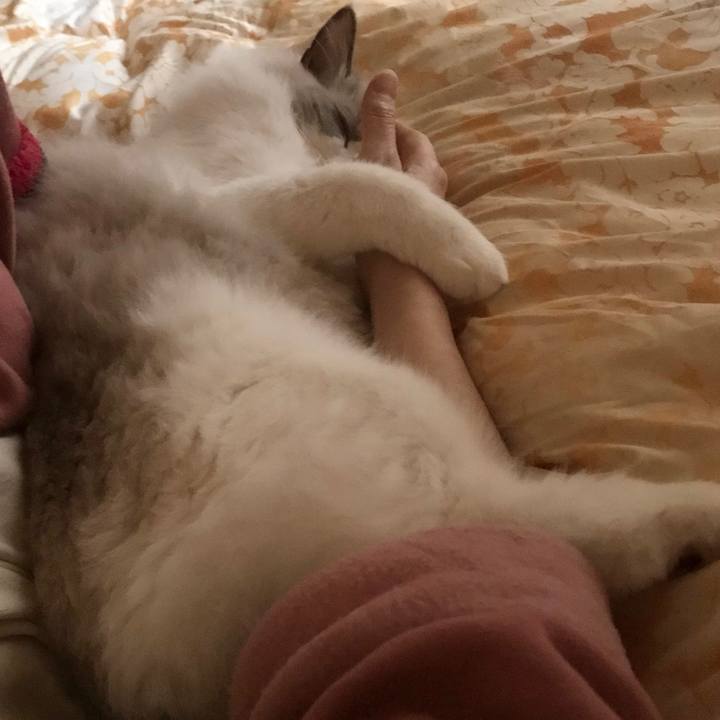 79869b11 d95f 4881 ab77 61ebcef3f9ad 1576556812824