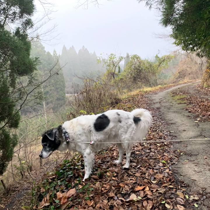 7986e9b0 2114 4d52 ae0e 2f6cfcb2aafa 1576730182244