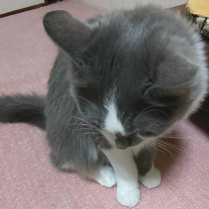 7986eb04 9cfc 4949 9efc d20790ba32ce 1576931688758