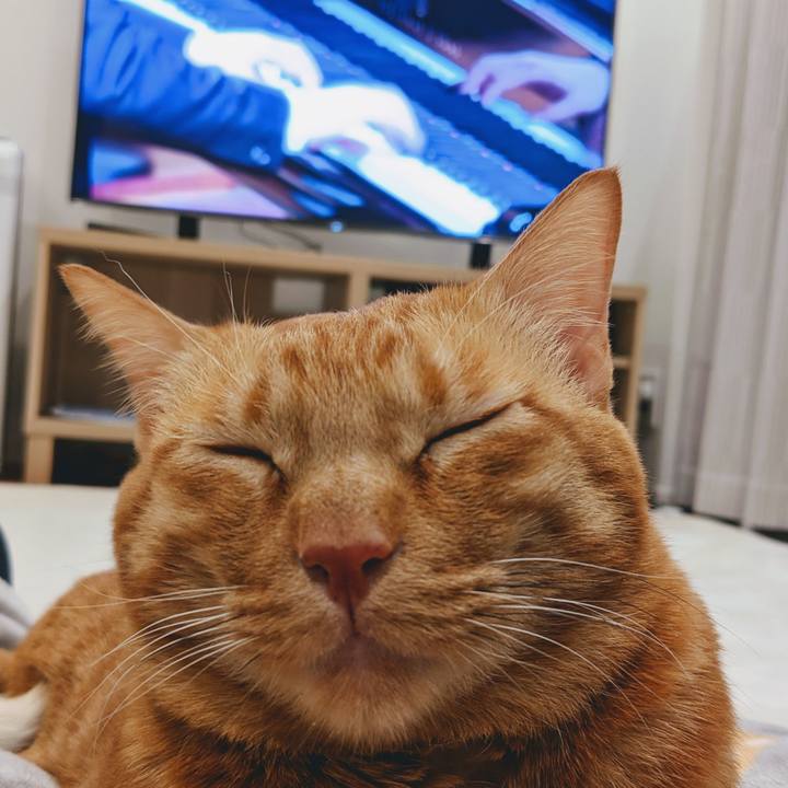 7986f506 816e 481f bdd2 03d2ee36a1ff 1638177989721