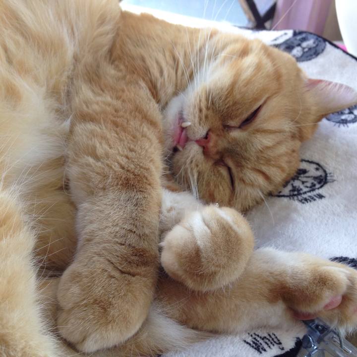 7987108d 2660 4ac1 81ae 0d209b7b5dd9 1510711809281