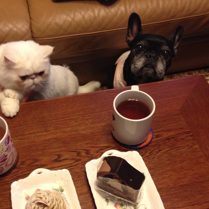 79872233 db98 43f8 bd44 c20a1d06f1a2 1737551523715