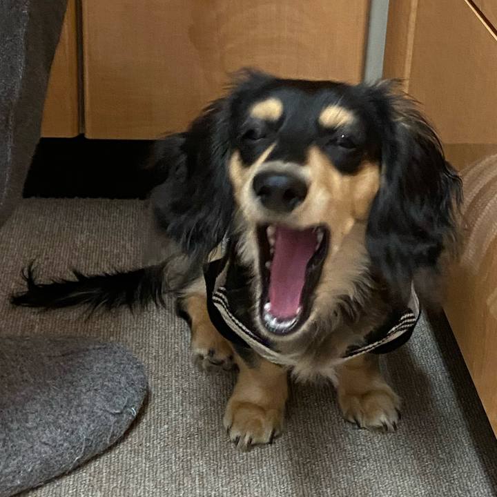 79872da4 a4c5 490d b409 55b8c4015246 1674600227931