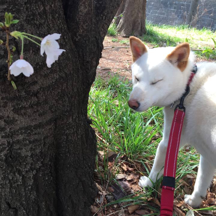 798746da ba1b 4751 877a e485d457e516 1522160040588