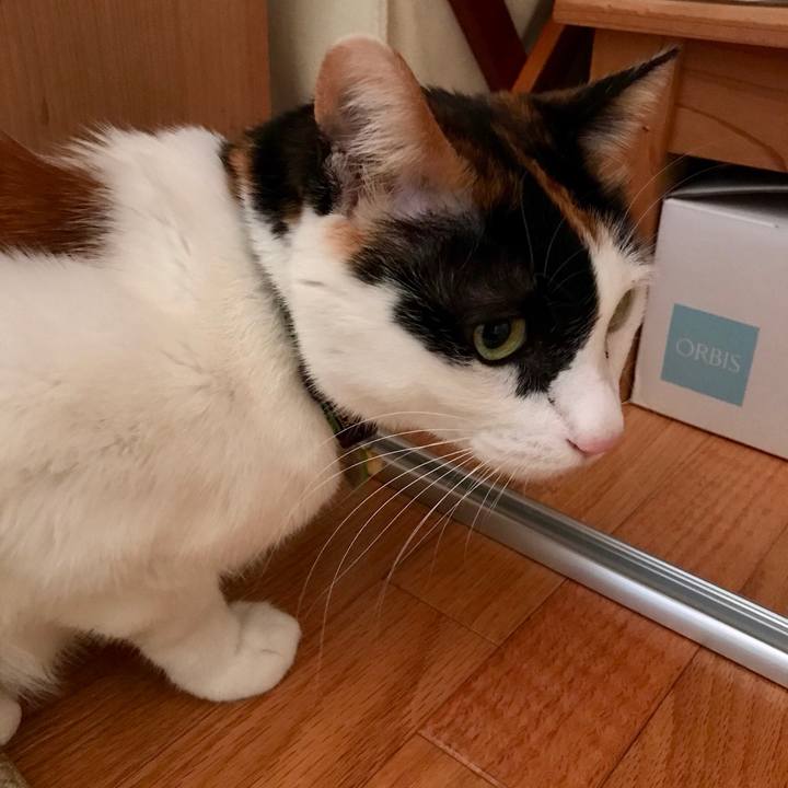 798749f5 5f3f 4550 b5ef f56898be960b 1520498452031