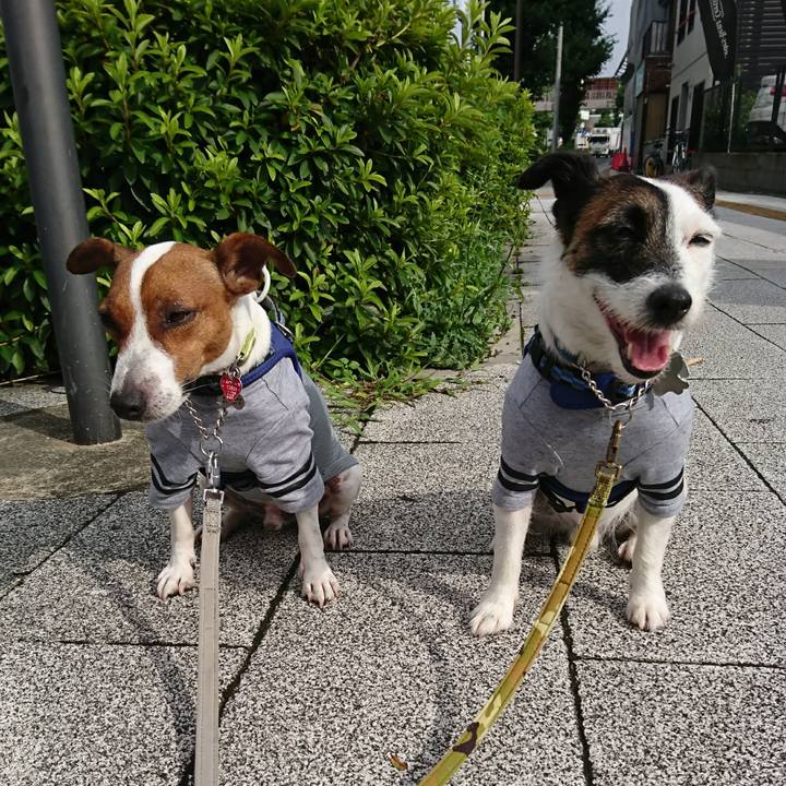 79874e04 7932 410f b751 d9ed03fc1efb 1593902847670