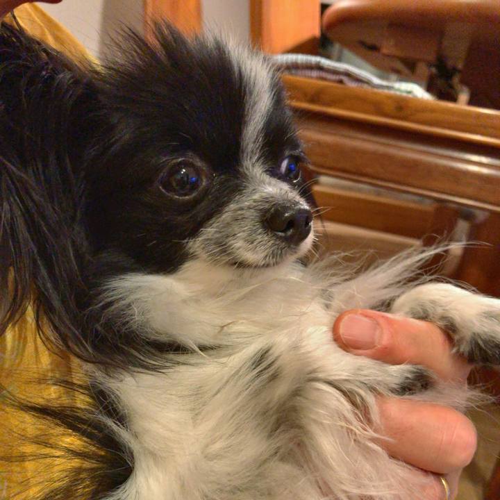 798772e9 0901 4ec1 8965 5505237af1e7 1530013967872