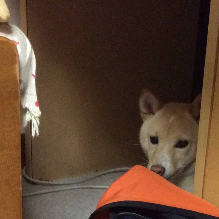 7987814e 5d3a 4bef 8ad5 1f723252488a 1513598318383