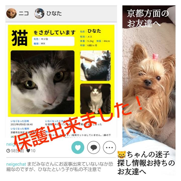 7987a864 aa29 4704 b697 47f9ded411bd 1626268785242