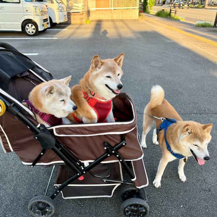 7987b3cb e7c8 42d0 86fa c5b4351574ac 1753028279360