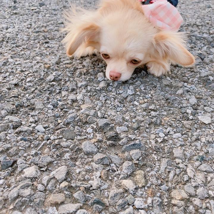 7987d063 1557 4b1e b2bc 94d51fb4f7ed 1619775685094