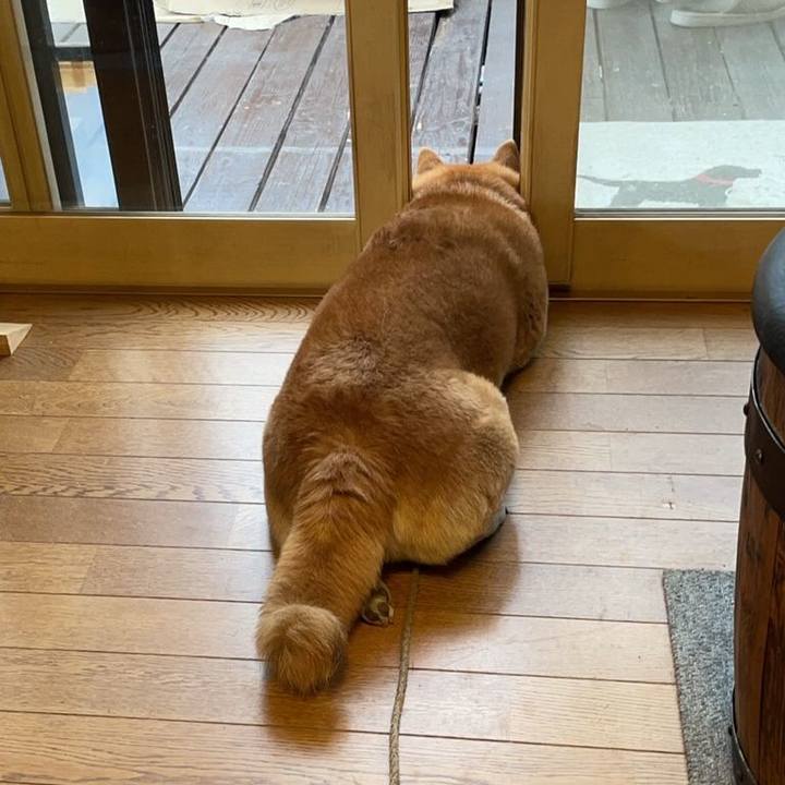 7987dac7 9997 4934 a930 3d959342eae5 1619598199624