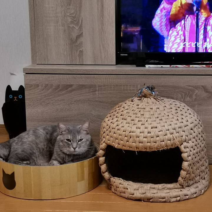 7987fdb1 fbe8 4139 bfb0 0e595a32de39 1603548670227