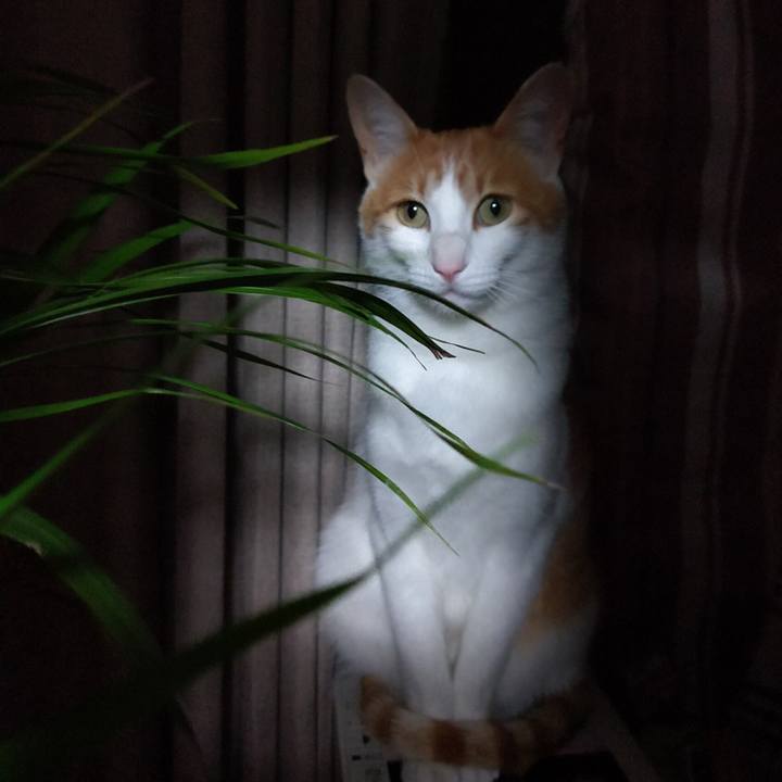 7988128b 69d8 42cc b8fc fa83e9cf1282 1522417787707