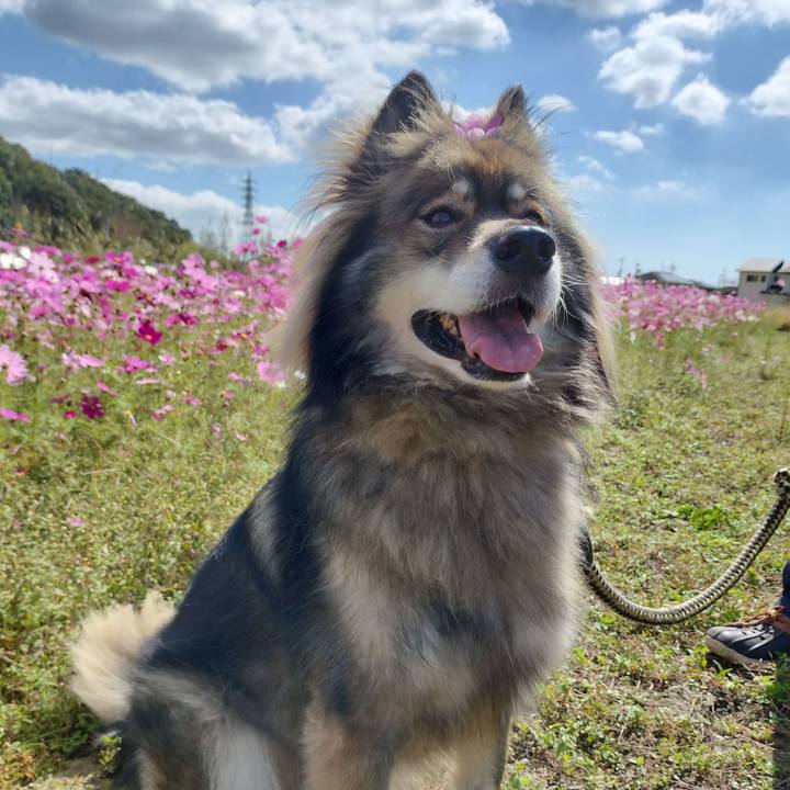 79893dbb 602a 41fc a22d ce485bc13688 1667533470900