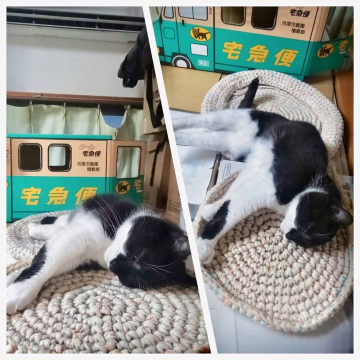 7989726b 735c 4bf3 aad5 f1d9047e27f2 1561958388367