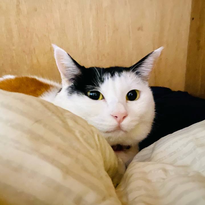 79898bd4 d70c 4ad9 9a4e 97f466237334 1702160159943