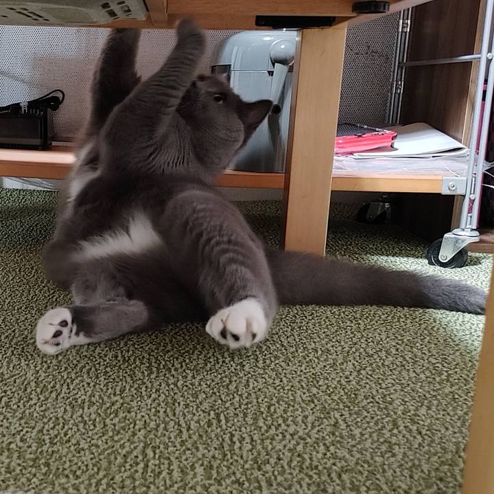 79899fc5 4c3d 492b 823b bd2832784508 1660052566031