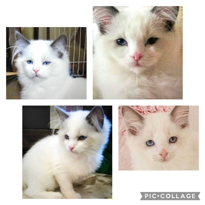 7989dc32 5976 4c9d 8731 acd80e11d4ed 1669718096223