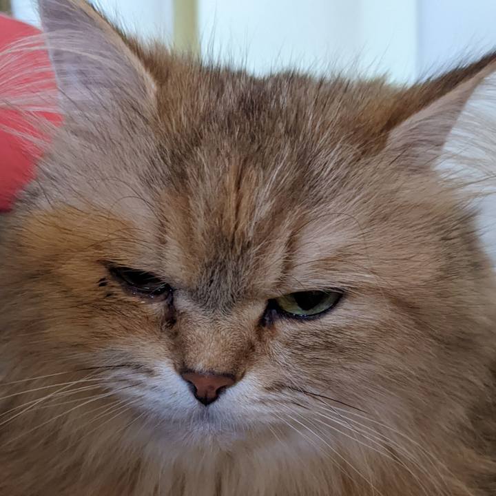 7989eeed 4842 47df 96c2 85c75f60d8b3 1653738593841