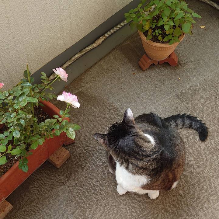 798a068d 7ac0 4d17 a96b e66a3679a172 1686445380028