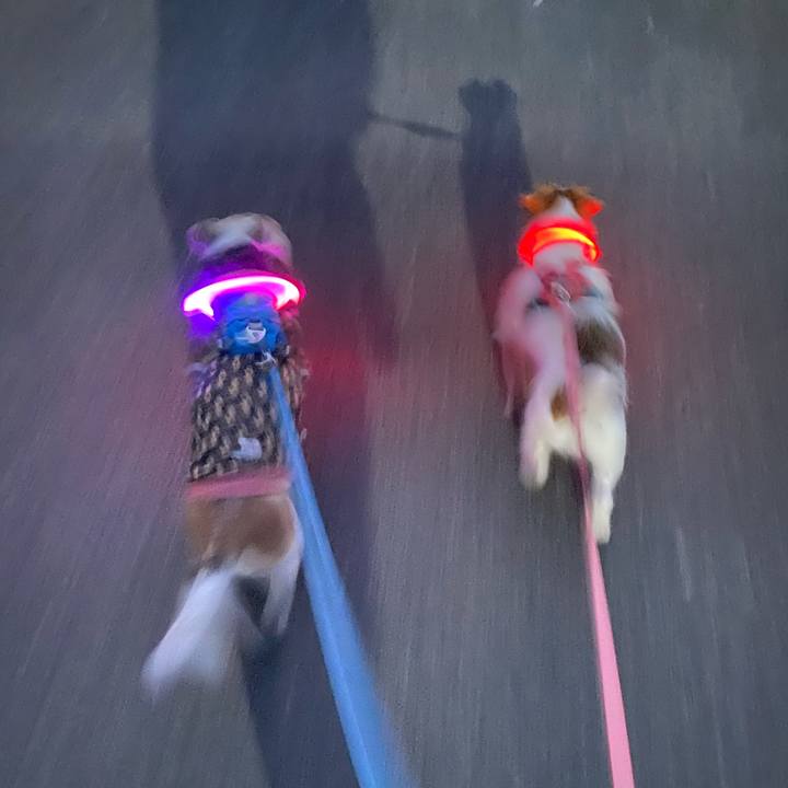 798a0ae4 eb74 41de bd65 99a963e3ab53 1703543336972