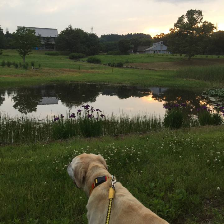 798a1c11 48da 45a1 a749 112553b2d995 1590579410600