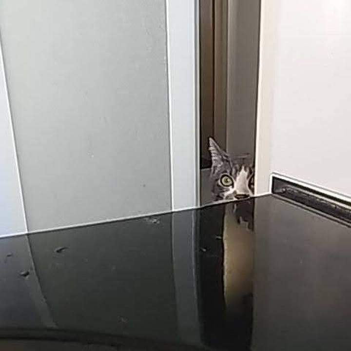 798a71fd b70c 4eb8 b6bd aa29c964c94b 1615983727888