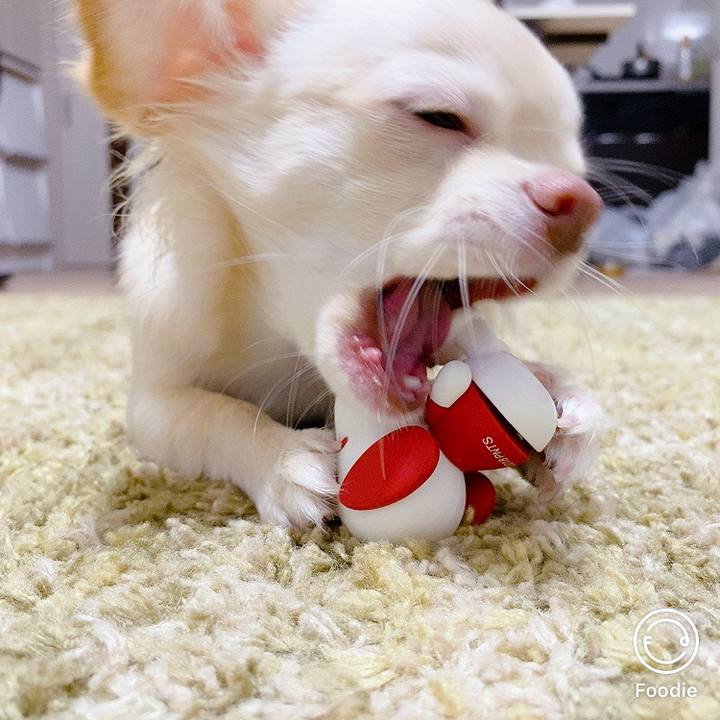 798a83a3 a5fc 4cbf 8062 bc90bf0305e3 1599812855317