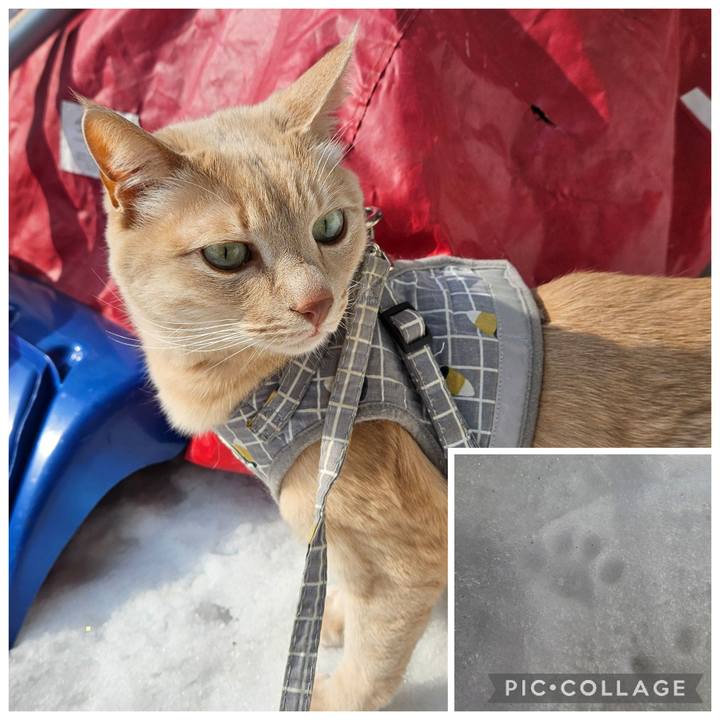 798ac0ea 4888 46ec a741 d1ed8d14531b 1771642365416